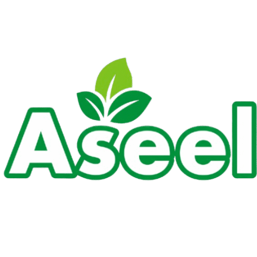 aseelpk.io